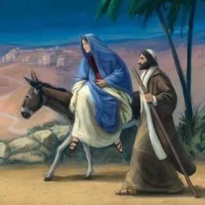 Meet your Posher, Mara